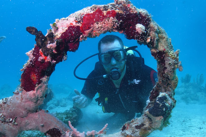 Diving in Bayahibe