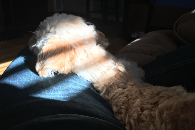 Rocky In The Sun