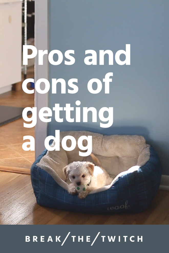 A Minimalist's Perspective On Getting A Dog // Getting a dog changed our lives. We share the pros and cons of getting a dog in this post and video. // www.breakthetwitch.com A Minimalist's Perspective On Getting A Dog // Getting a dog changed our lives. We share the pros and cons of getting a dog in this post and video. // www.breakthetwitch.com